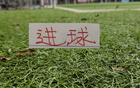 中超联赛进球榜前三球队揭晓！领头羊成都蓉城狂进32球领跑积分榜，强势表现引发广泛关注